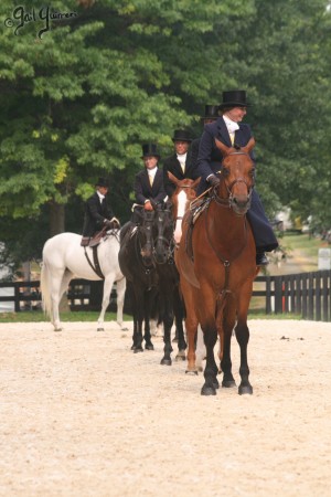 Upperville Sidesaddle 2005