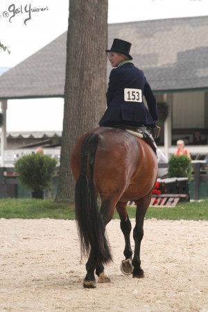 Upperville Sidesaddle 2005