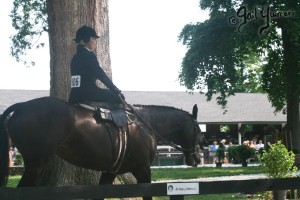 Upperville Sidesaddle 2005