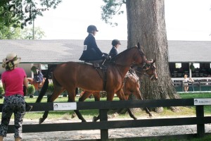 Upperville Sidesaddle 2005