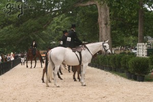 Upperville Sidesaddle 2005