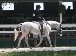 Upperville Sidesaddle 2005