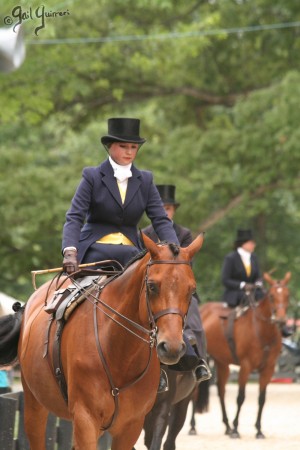 Upperville Sidesaddle 2005