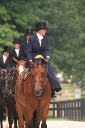 Upperville Sidesaddle 2005