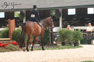 Upperville Sidesaddle 2005