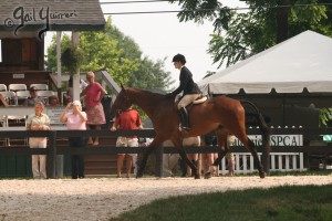 Upperville Sidesaddle 2005