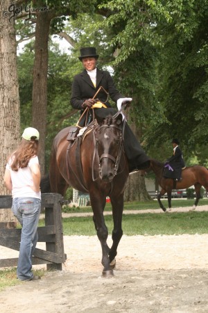 Upperville Sidesaddle 2005