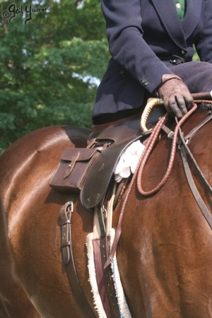 Upperville Sidesaddle 2005