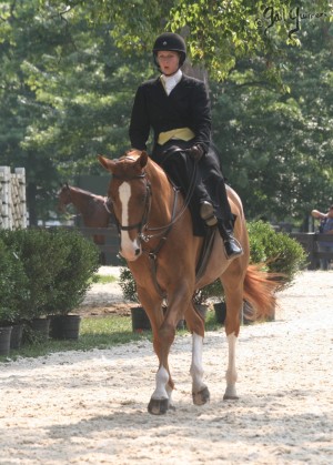 Upperville Sidesaddle 2005