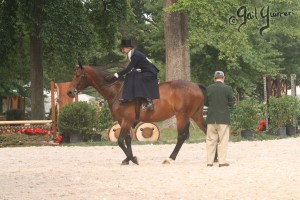 Upperville Sidesaddle 2005