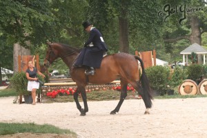 Upperville Sidesaddle 2005