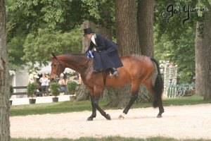 Upperville Sidesaddle 2005