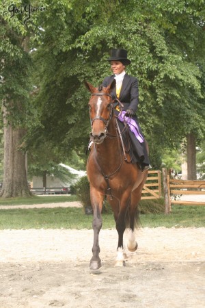 Upperville Sidesaddle 2005