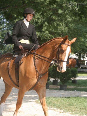 Upperville Sidesaddle 2005