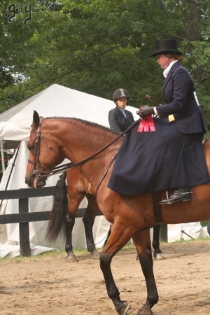 Upperville Sidesaddle 2005