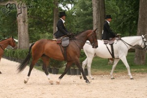 Upperville Sidesaddle 2005