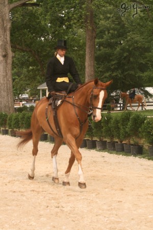 Upperville Sidesaddle 2005