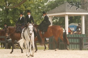 Upperville Sidesaddle 2005