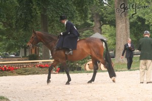 Upperville Sidesaddle 2005