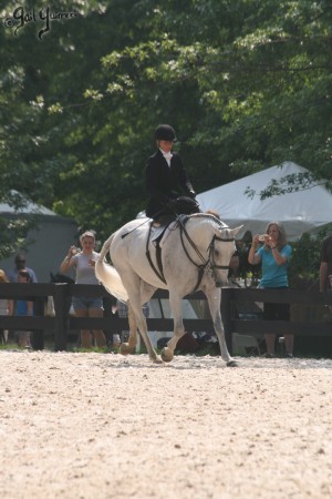 Upperville Sidesaddle 2005