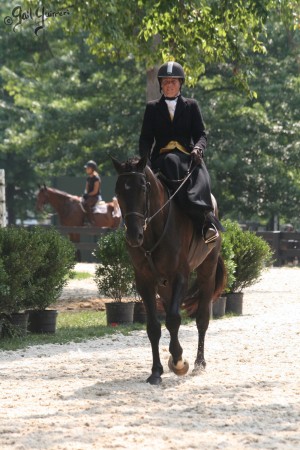 Upperville Sidesaddle 2005