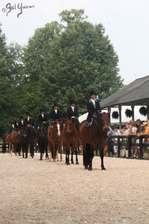 Upperville Sidesaddle 2005