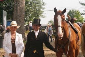 Upperville Sidesaddle 2005