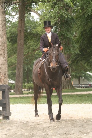 Upperville Sidesaddle 2005