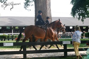 Upperville Sidesaddle 2005