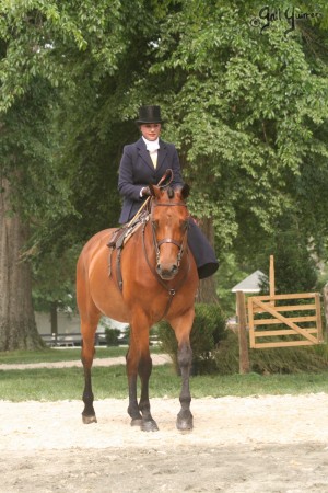 Upperville Sidesaddle 2005