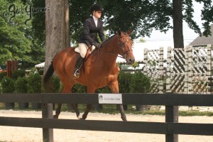 Upperville Sidesaddle 2005