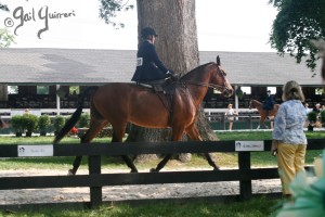 Upperville Sidesaddle 2005