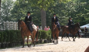 Upperville Sidesaddle 2005