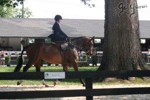 Upperville Sidesaddle 2005