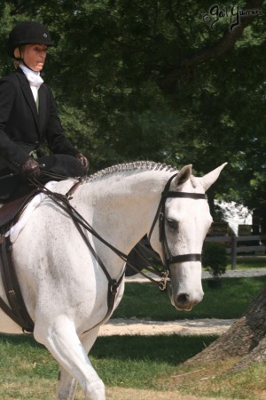 Upperville Sidesaddle 2005