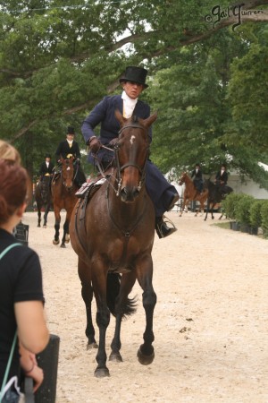 Upperville Sidesaddle 2005