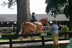 Upperville Sidesaddle 2005