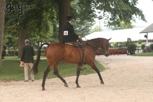 Upperville Sidesaddle 2005