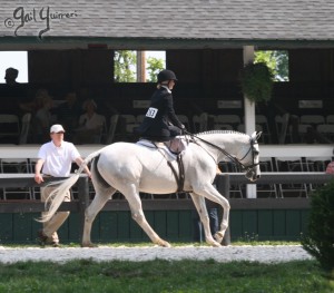 Upperville Sidesaddle 2005