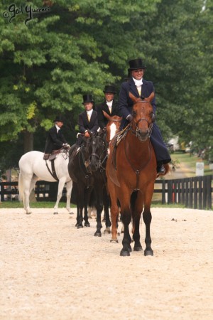 Upperville Sidesaddle 2005