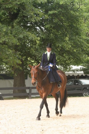 Upperville Sidesaddle 2005