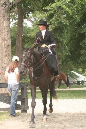 Upperville Sidesaddle 2005