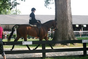 Upperville Sidesaddle 2005