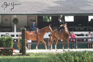 Upperville Sidesaddle 2005