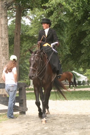 Upperville Sidesaddle 2005