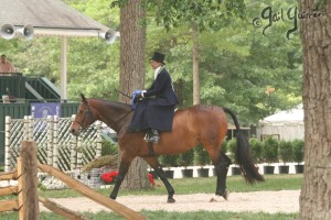 Upperville Sidesaddle 2005