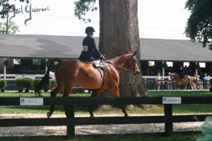 Upperville Sidesaddle 2005