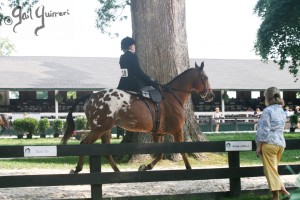 Upperville Sidesaddle 2005