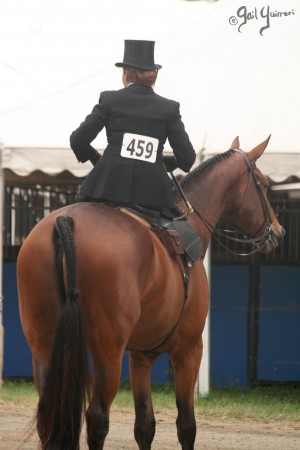 Upperville Sidesaddle 2005 Kristin Glover