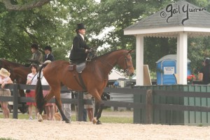 Upperville Sidesaddle 2005 Kristin Glover